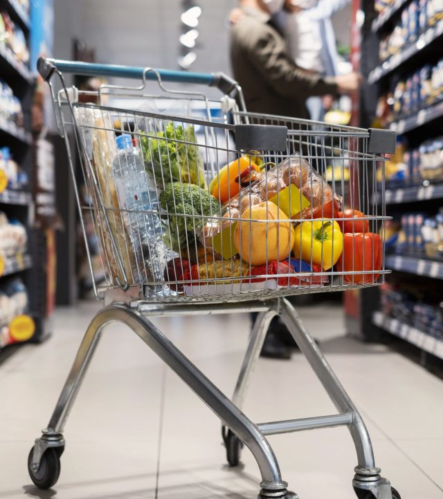 family-shopping-with-face-mask (1)